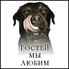скачать найти купить